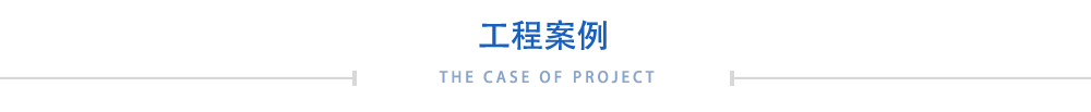 成功案例